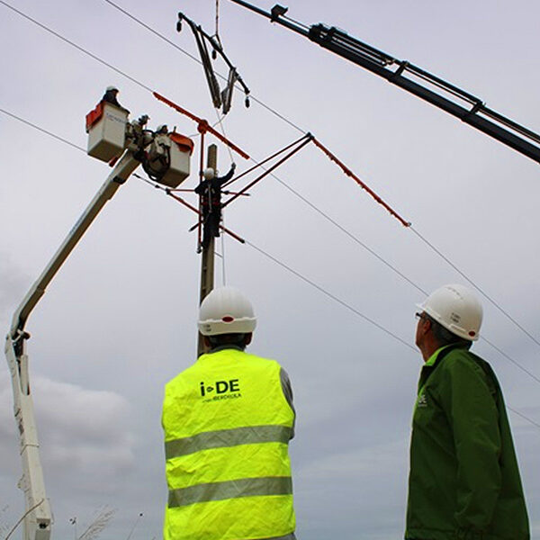 birka_news_cruceta-aislante_sept2024